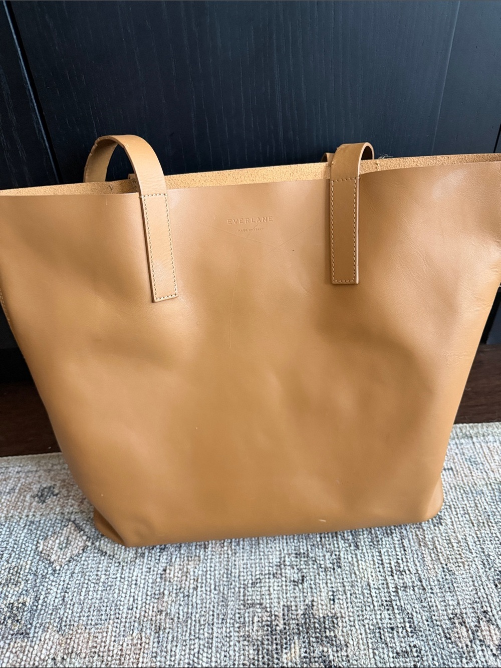 Everlane Leather Tote in Tan